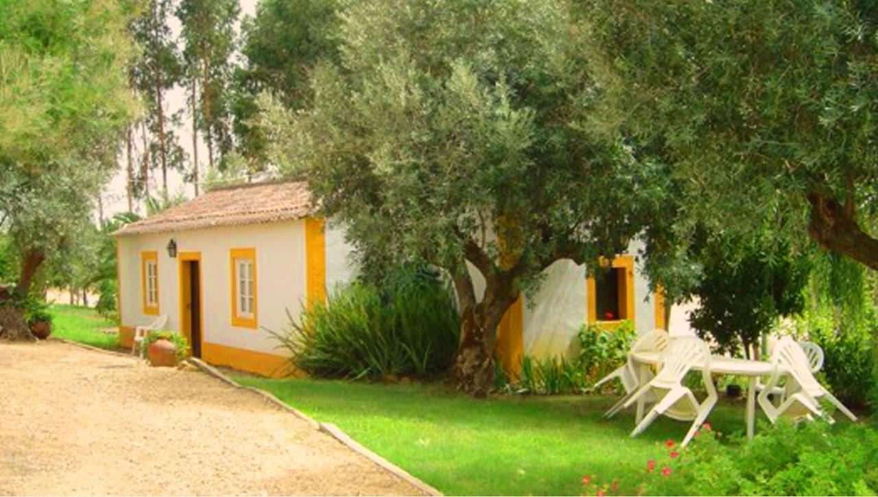 Villa Quinta Do Pinhal Constância Exterior foto